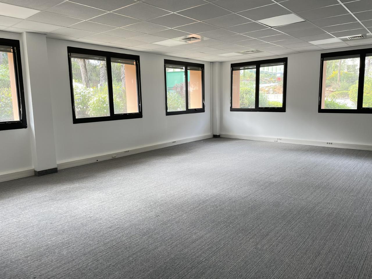 Bureau Sophia Antipolis 545m² Location bureau Sophia Antipolis Alpes-Maritimes OLBUR2114913 1